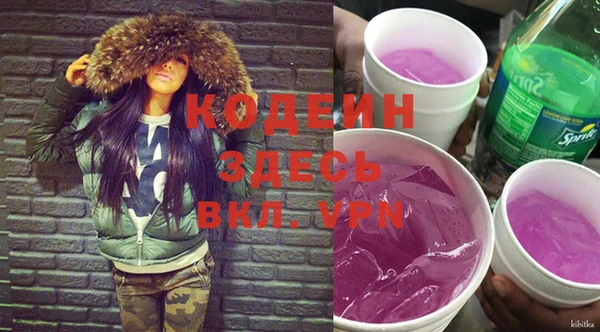 индика Богородск