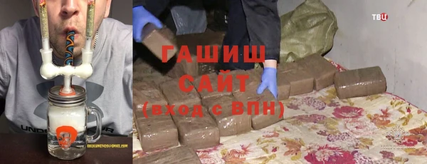 дмт Богданович