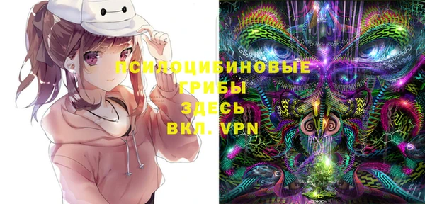 дмт Богданович
