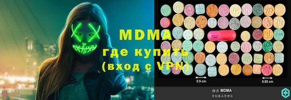 индика Богородск