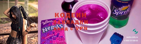 индика Богородск