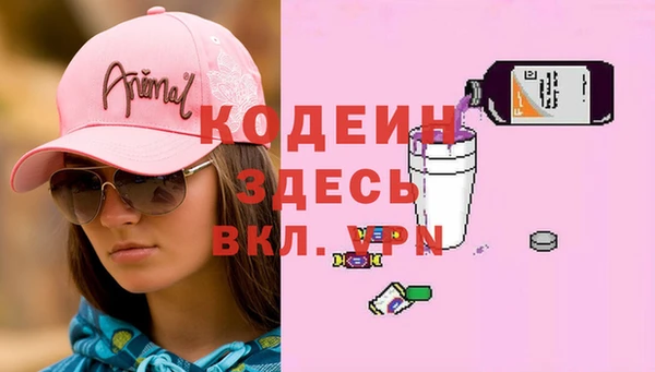 индика Богородск