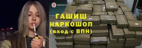 дмт Богданович