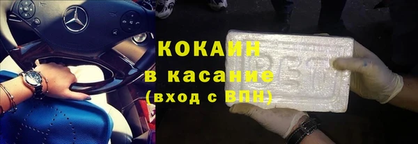дмт Богданович