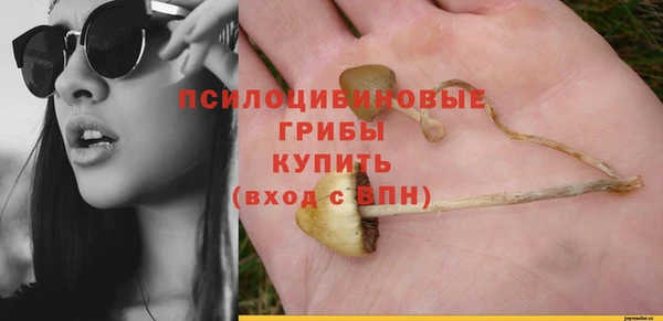 метамфетамин Богородицк