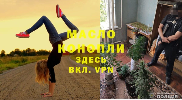 индика Богородск