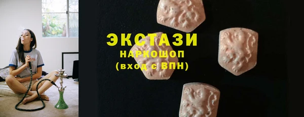 дмт Богданович