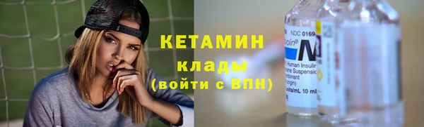 дмт Богданович