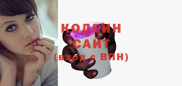 индика Богородск