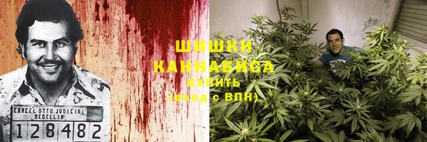 индика Богородск