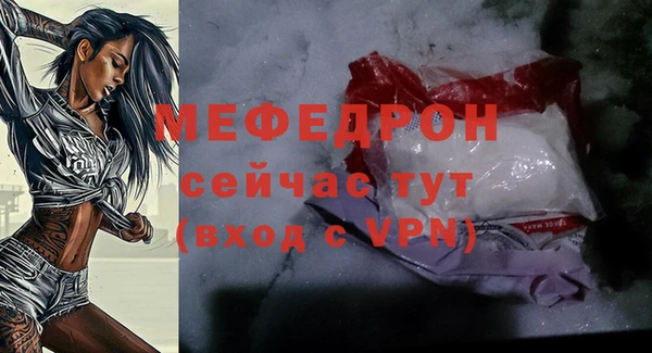 индика Богородск