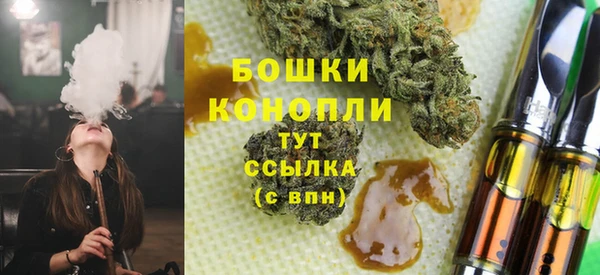 индика Богородск