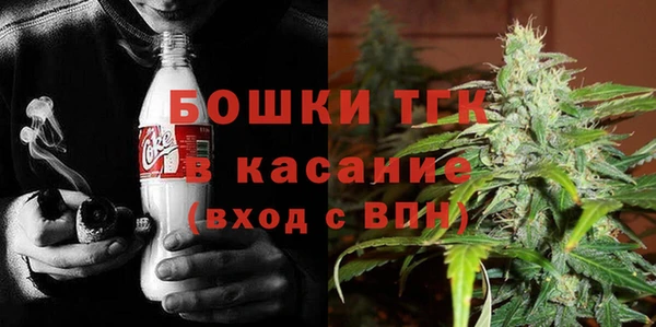 индика Богородск