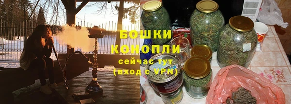 индика Богородск