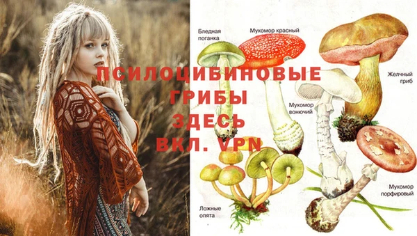 метамфетамин Богородицк