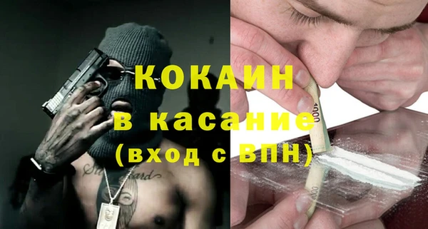 дмт Богданович
