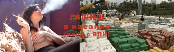 дмт Богданович