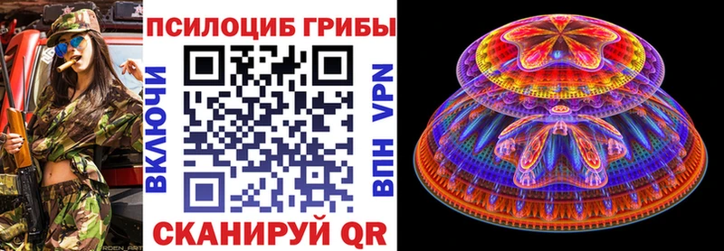 Купить где Ростов Псилоцибиновые грибы GOLDEN TEACHER