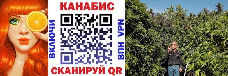 Бошки марихуана конопля Ростов